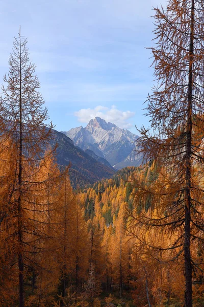 Autumn Alpine Light Dolomites Italy Europe — 图库照片