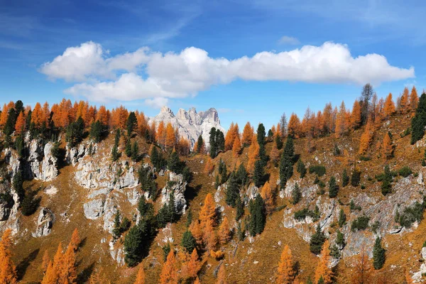 Autumn Alpine Light Dolomites Italy Europe — 图库照片