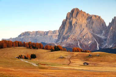 Autumn sunrise scenery with yellow larches in Alpe di Siusi (Seiser Alm) Dolomites, Italy, Europe clipart