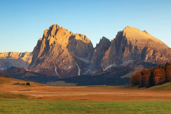 Őszi Napkelte Táj Sárga Vörösfenyőkkel Alpe Siusi Seiser Alm Dolomitokban — Stock Fotó