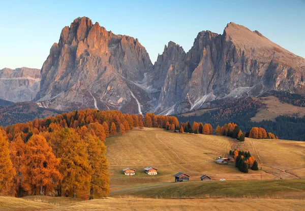 Пейзаж Рассвета Осенью Желтыми Лиственницами Доломитовых Альпах Seiser Alm Италия — стоковое фото