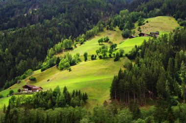 Avusturya, Hohe Tauern Ulusal Parkı 'nda yaz manzarası. Alpler Panoraması, Ulusal Park Hohe Tauern