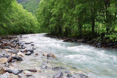 Avusturya, Hohe Tauern Ulusal Parkı 'nda yaz manzarası. Alpler Panoraması, Ulusal Park Hohe Tauern