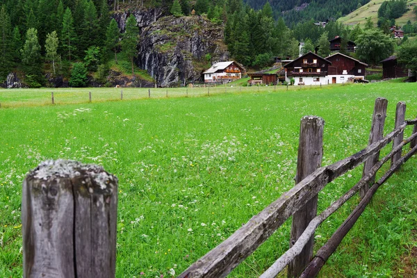 奥地利 欧洲海利根布拉特村的夏季景观 — 图库照片
