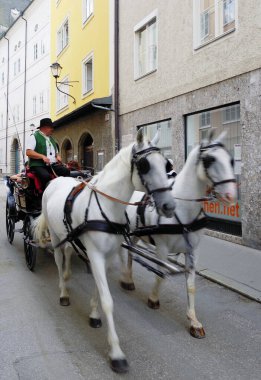 Salzburg, Avusturya, Avrupa 'da sokak sahnesi