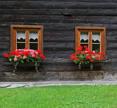 Güney Tyrol, Avusturya ve Avrupa 'da geleneksel ahşap mimari