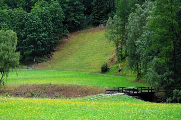 Estate Paesaggio Alpino Nel Parco Nazionale Alti Tauri Austria Panorama — Foto Stock