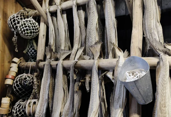 Kışın balık kurutmak. Reine balıkçı köyü, Lofoten adaları, Norveç