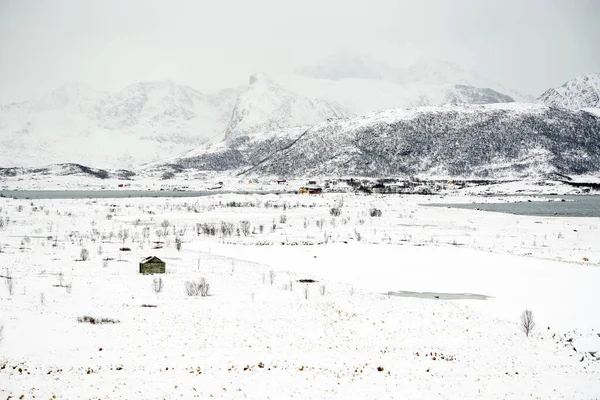 Winterlandschap Lofoten Archipel Noorwegen Europa — Stockfoto