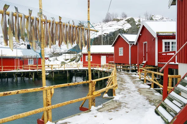 Lofoten群岛Nussfjord村的图像 挪威历史上的水上渔村 — 图库照片