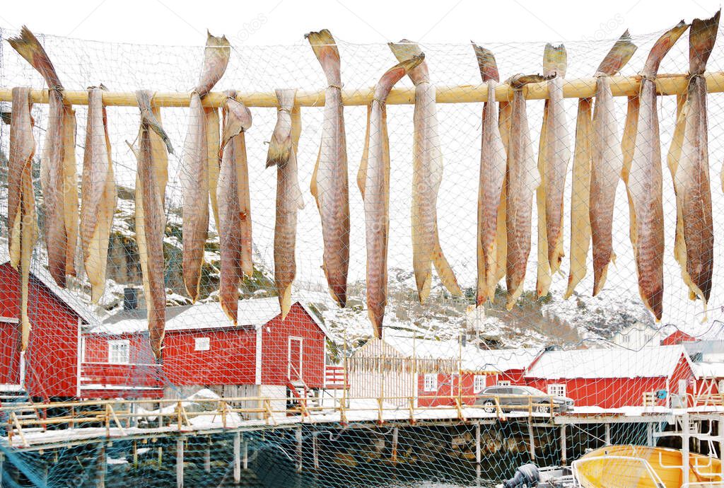  Image of Nussfjord village, Lofoten Islands. Norway`s historic fishing village on the water, Europe