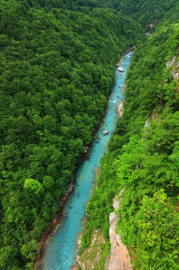 Karadağ, Avrupa 'daki Tara Nehri Kanyonu 60 km uzunluğunda ve dünyanın en büyük ikinci kanyonu.