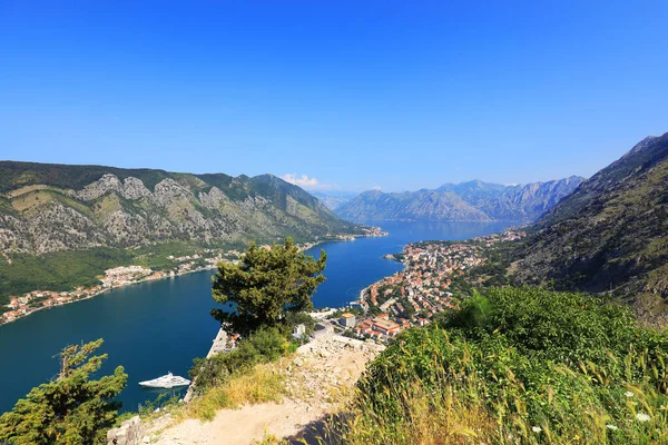 Ruinas Fortaleza Kotor Montenegro Europa —  Fotos de Stock