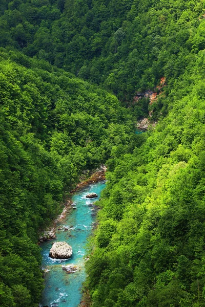 Tara River Canyon Montenegro Europa Lungo Secondo Più Grande Del — Foto Stock