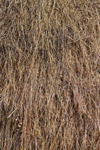 畑での干し草の山の穀物の収穫素晴らしい農業の背景画像 — ストック写真