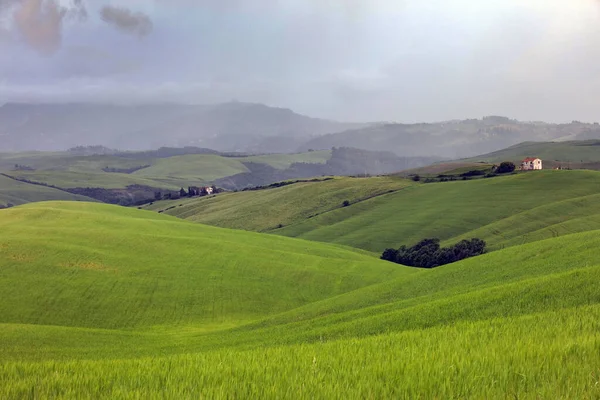 Typiskt Landskap Toscana Italien — Stockfoto