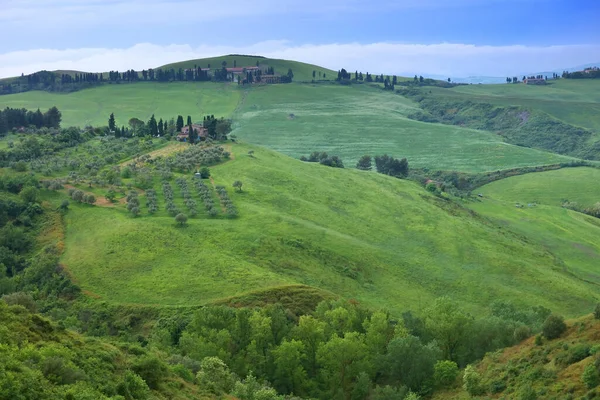 Typowy Krajobraz Toskanii Włochy — Zdjęcie stockowe