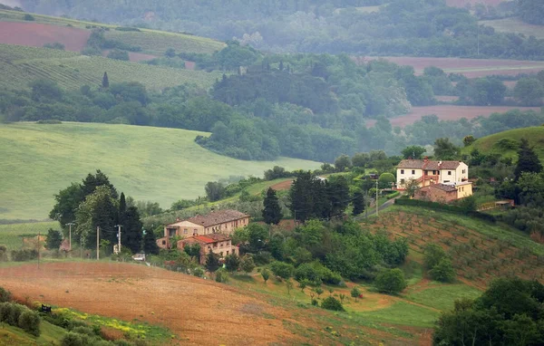 Typisk Landskap Toscana Italia – stockfoto