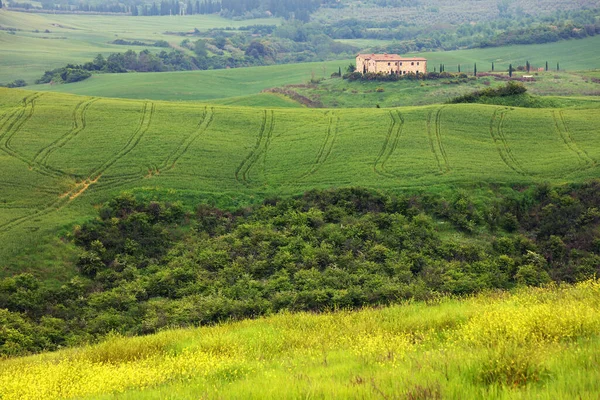 Typische Landschaft Der Toskana Italien — Stockfoto