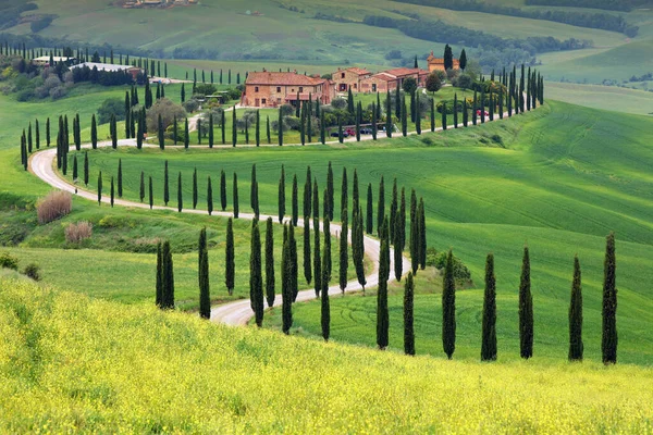 Typisch Landschap Van Toscane Italië — Stockfoto