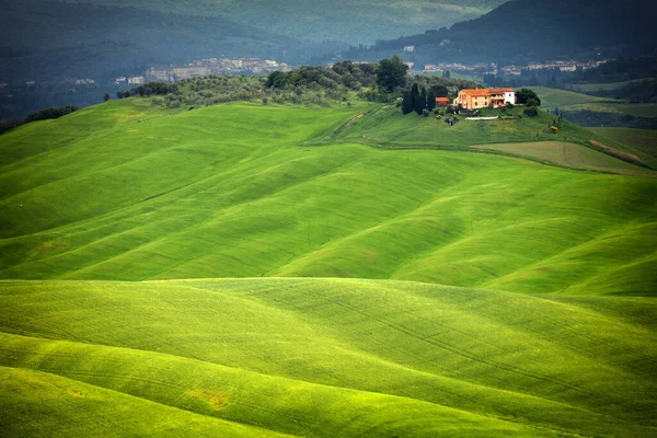 Zomer Bewolkt Landschap Van Toscane Landschap Italië — Stockfoto