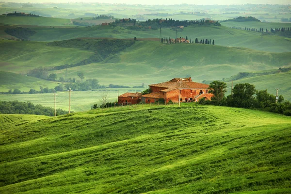Типичный Пейзаж Тосканы Италия — стоковое фото