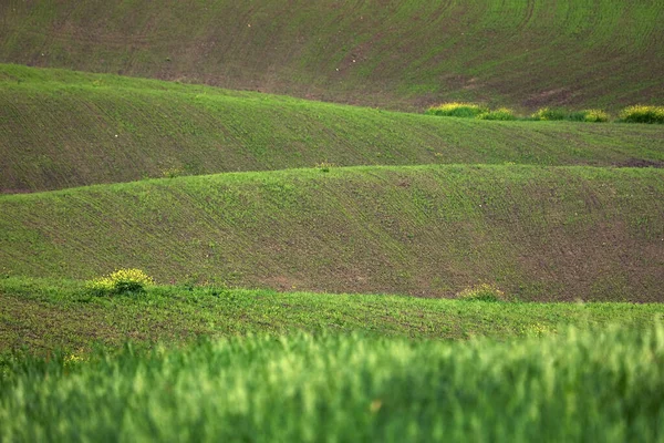 Musim Panas Mendung Lanskap Tuscany Italia — Stok Foto