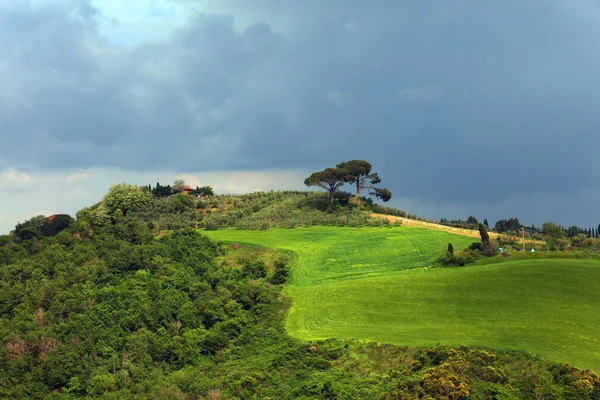 Typical Landscape Tuscany Landscape Italy — Stock Photo, Image