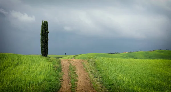 Летний Облачный Пейзаж Тосканы Италия — стоковое фото