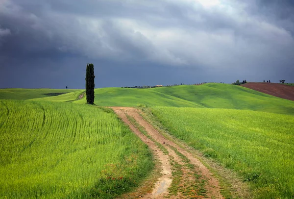 Paisaje Típico Toscana Paisaje Italia —  Fotos de Stock