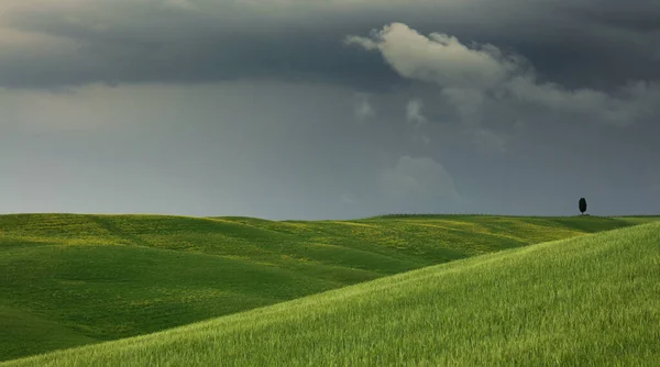 Типичный Пейзаж Тосканы Италия — стоковое фото