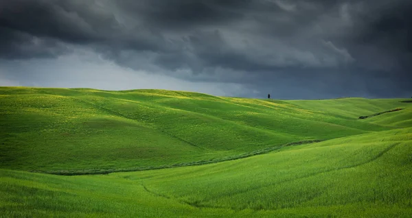 Typical Landscape Tuscany Landscape Italy — Stock Photo, Image