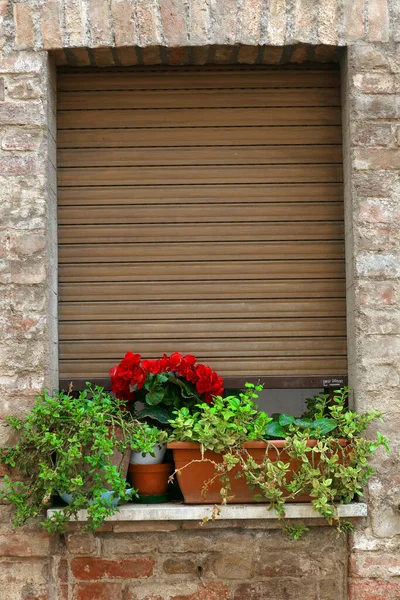 Detalle Arquitectónico Siena Toscana Italia Centro Histórico Siena Sido Declarado —  Fotos de Stock