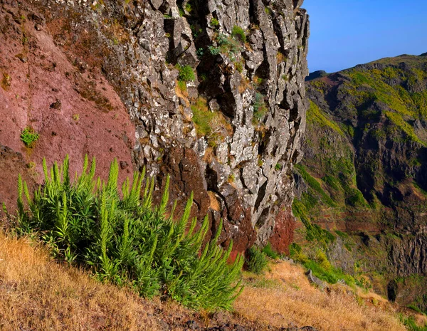 Пико Ариейро Высотой 1818 Метров Третья Высоте Вершина Острова Мадейра — стоковое фото