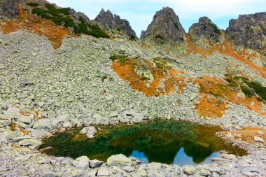 Ulusal Park Retezat, Romanya ve Avrupa 'daki Alp sonbahar manzarası    