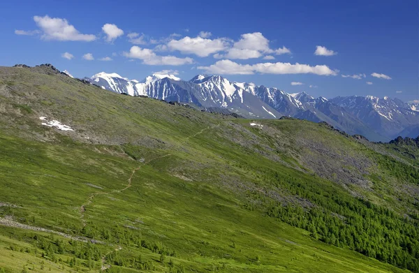 Zomer Alpine Landschap Altai Gebergte Siberië Russische Federatie — Stockfoto