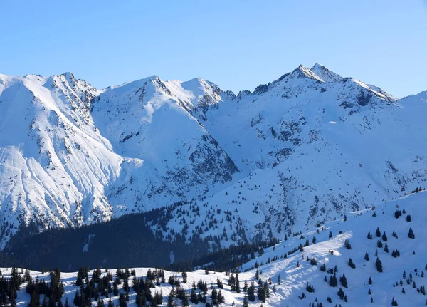 Invierno Los Alpes Transilvanos Rumania Europa —  Fotos de Stock