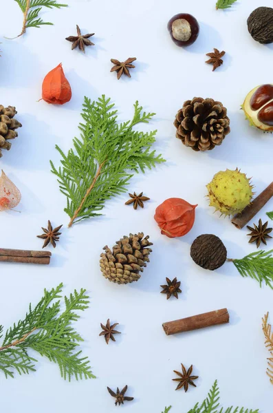 Leuchtend gelbe Herbstblätter, Kastanien, Tannenzapfen, orangefarbene Physalis-Blüten, Zimtstangen und Anissterne. Blick von oben Herbst oder Winter Hintergrund — Stockfoto