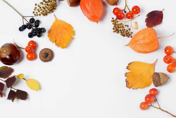 Parlak sarı sonbahar yaprakları, kestane, çam kozalağı ve metin için kopya alanı ile beyaz bir arka plan üzerinde turuncu physalis çiçekler. Güzel bir çerçeve. Üstte görüntüle fotoğraf