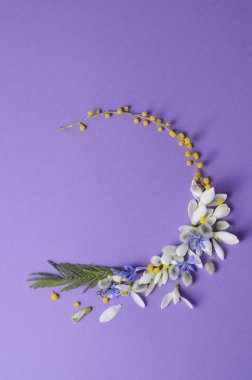 Yuvarlak çerçeve çiçek kardelen, Mimoza ve willows. Mor zemin üzerine çiçek kompozisyon.