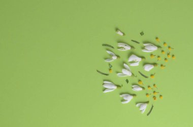 Yeşil zemin çiçek kompozisyonu. Bahar Mevsimlik arka plan.