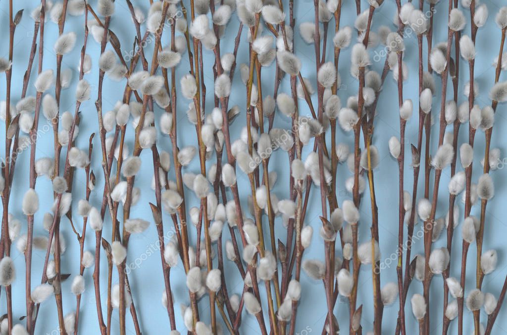 How To Make Crepe Paper Flowers Pussy Willow