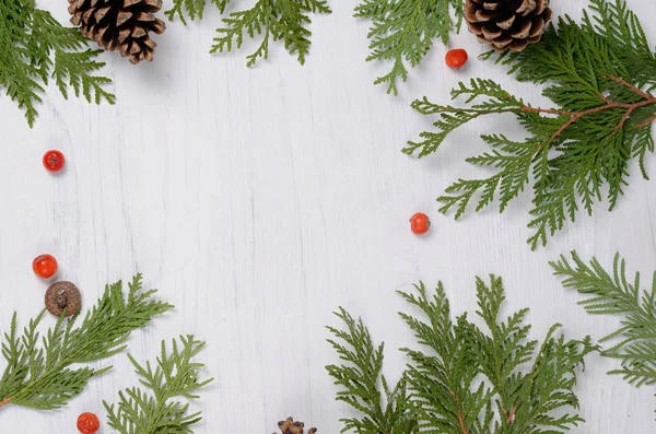 Weihnachtsrahmen. Tannenzweige und Vogelbeeren auf weißem Hintergrund. Zusammensetzung von oben — Stockfoto