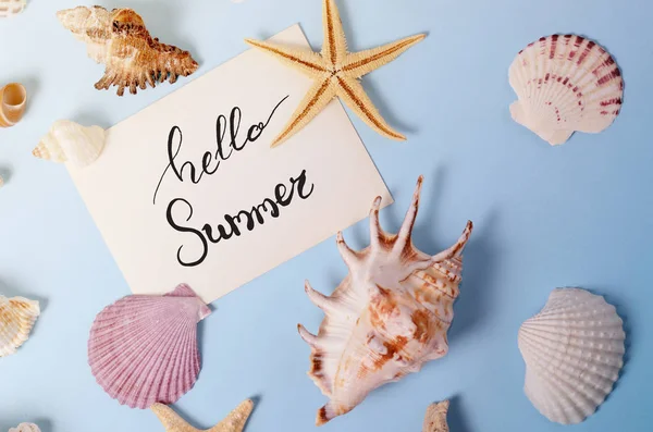 Creative layout made of different colorful seashells and greeting card with Hello Summer Lettering — Stock Photo, Image