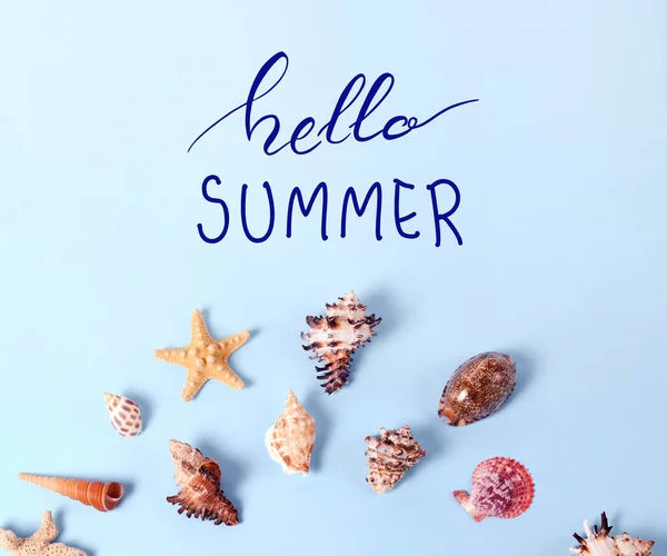 Creatieve lay-out gemaakt van verschillende kleurrijke schelpen en wenskaart met Hallo zomer belettering — Stockfoto