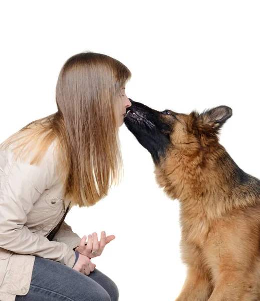 Genç kadın ve beyaz arka plan üzerinde izole Alman çoban köpeği. Köpek sahibine Kisses.