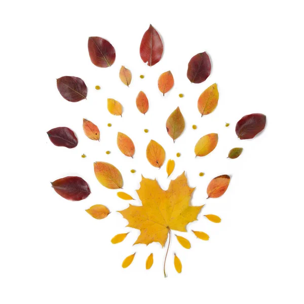 Frontera de otoño. Composición de vibrantes hojas rojas y amarillas sobre un fondo blanco. Flat lay Vista superior de fondo de moda . —  Fotos de Stock