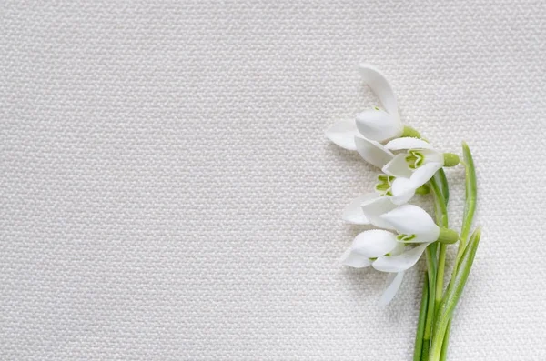 Déneigement blanc frais sur fond textile blanc . — Photo