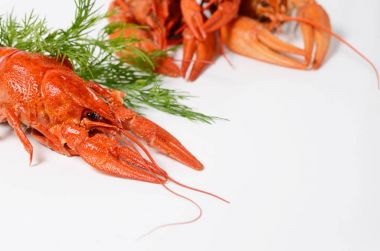 Deniz ürünleri tabağı, kırmızı kerevit haşlanmış. Aperatifler tür bira için.