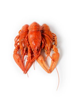 Deniz ürünleri tabağı, kırmızı kerevit haşlanmış. Aperatifler tür bira için.